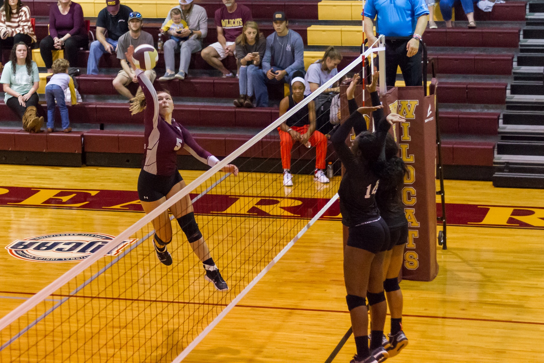 Pearl River sweeps Judson College for third time